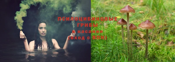 винт Козельск