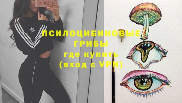 спайс Кодинск