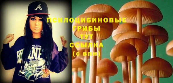 спайс Кодинск
