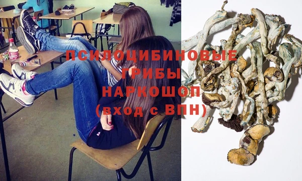 спайс Кодинск