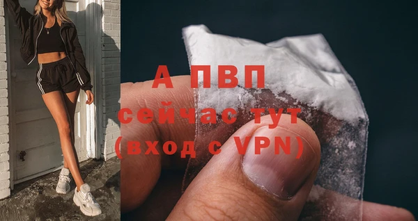 спайс Кодинск