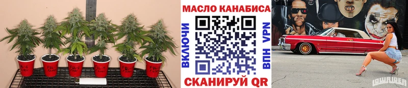Купить закладки  Горячий Ключ  ТГК вейп с тгк 
