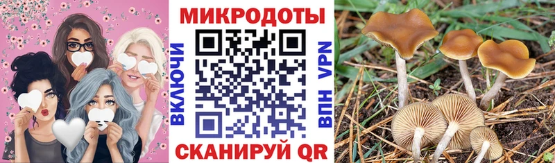 Галлюциногенные грибы GOLDEN TEACHER  Купить где  Горячий Ключ 